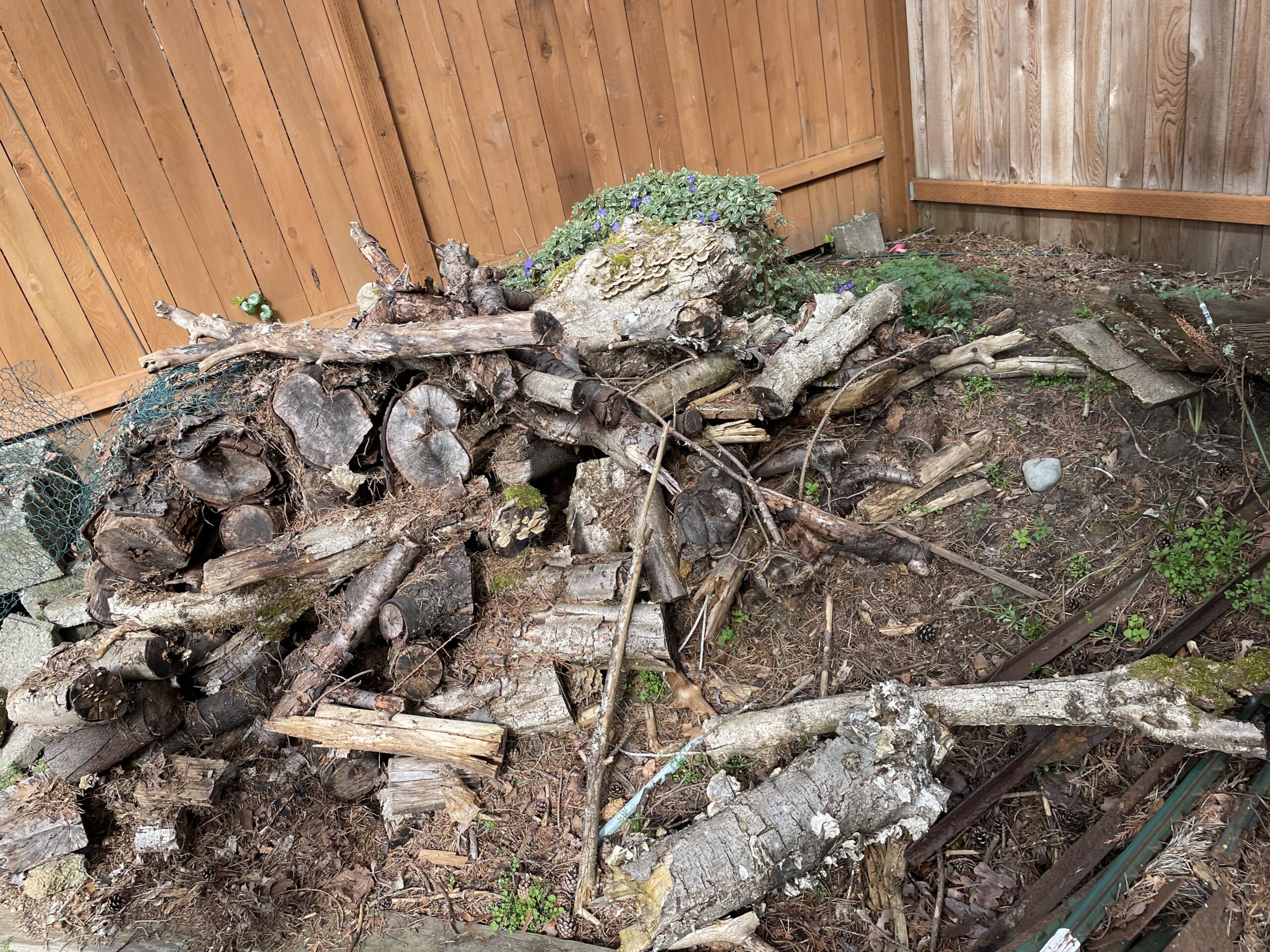 73275041556 77254144 1192 46f4 ae6e 947a8599cd16