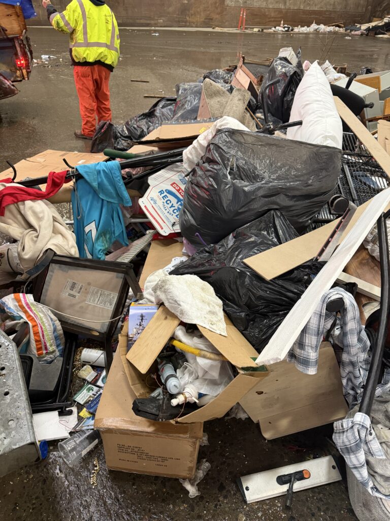 IMG_0339 IMG 0339 768x1024